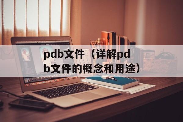 pdb文件（详解pdb文件的概念和用途）-第1张图片-