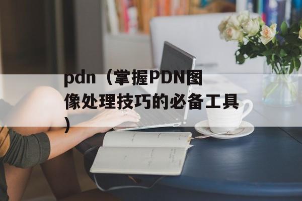 pdn（掌握PDN图像处理技巧的必备工具）-第1张图片-