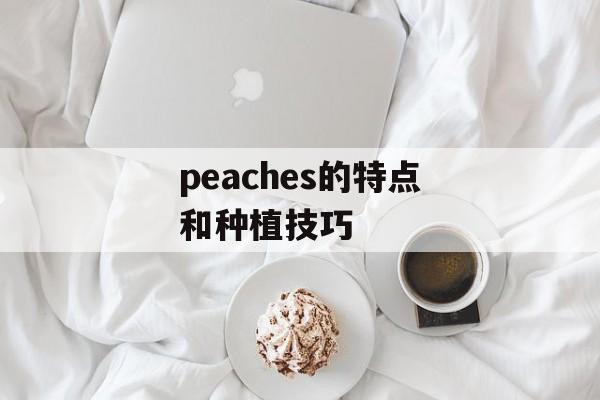 peaches的特点和种植技巧-第1张图片-