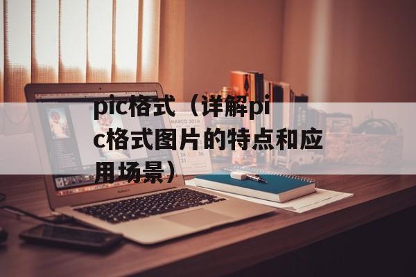pic格式（详解pic格式图片的特点和应用场景）-第1张图片-