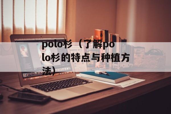 polo杉（了解polo杉的特点与种植方法）-第1张图片-