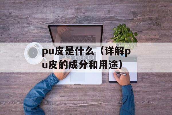 pu皮是什么（详解pu皮的成分和用途）-第1张图片-