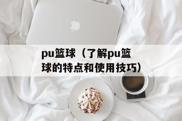 pu篮球（了解pu篮球的特点和使用技巧）-第1张图片-