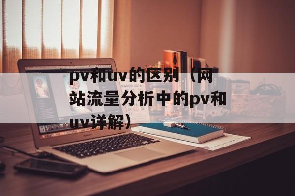 pv和uv的区别（网站流量分析中的pv和uv详解）-第1张图片-