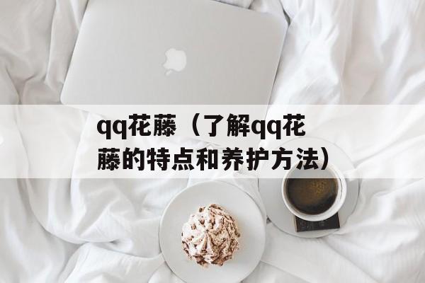 qq花藤（了解qq花藤的特点和养护方法）-第1张图片-