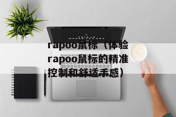 rapoo鼠标（体验rapoo鼠标的精准控制和舒适手感）-第1张图片-