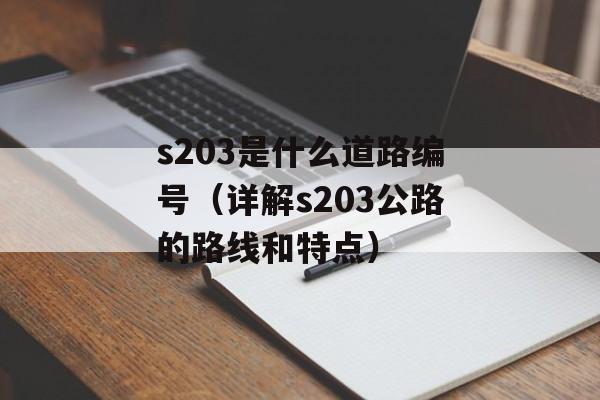 s203是什么道路编号（详解s203公路的路线和特点）-第1张图片-