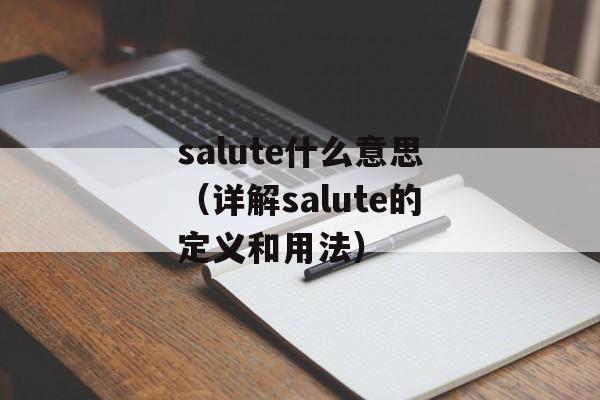 salute什么意思（详解salute的定义和用法）-第1张图片-