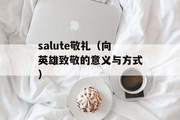 salute敬礼（向英雄致敬的意义与方式）-第1张图片-