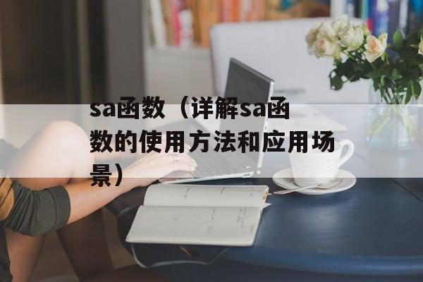 sa函数（详解sa函数的使用方法和应用场景）-第1张图片-