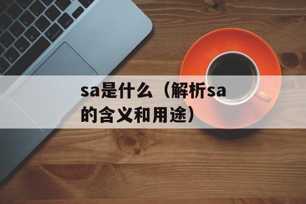 sa是什么（解析sa的含义和用途）-第1张图片-
