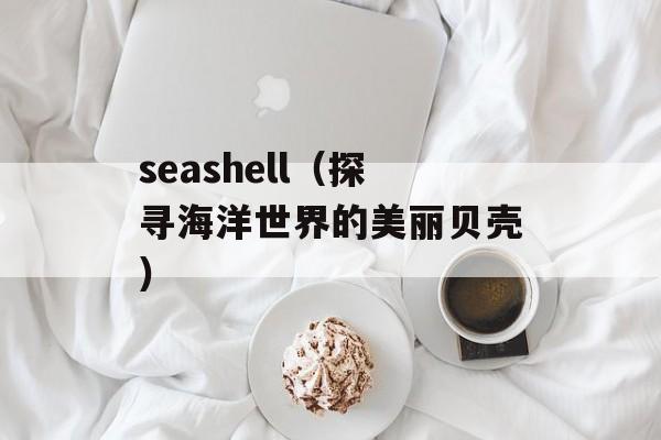 seashell（探寻海洋世界的美丽贝壳）-第1张图片-
