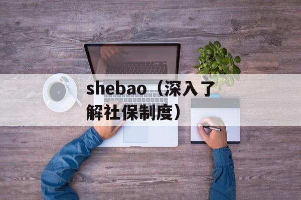 shebao（深入了解社保制度）-第1张图片-
