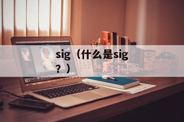 sig（什么是sig？）-第1张图片-