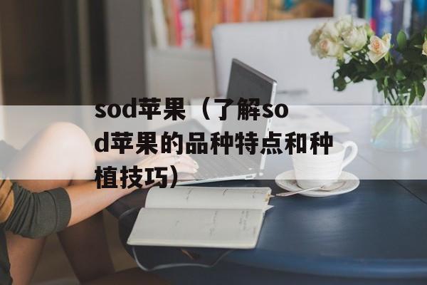 sod苹果（了解sod苹果的品种特点和种植技巧）-第1张图片-