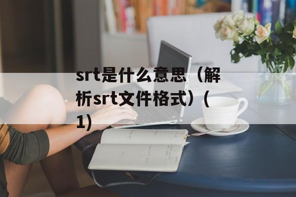 srt是什么意思（解析srt文件格式）(1)-第1张图片-
