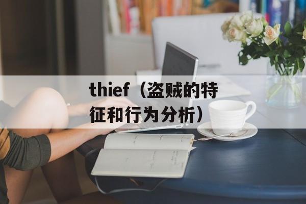 thief（盗贼的特征和行为分析）-第1张图片-