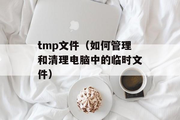 tmp文件（如何管理和清理电脑中的临时文件）-第1张图片-