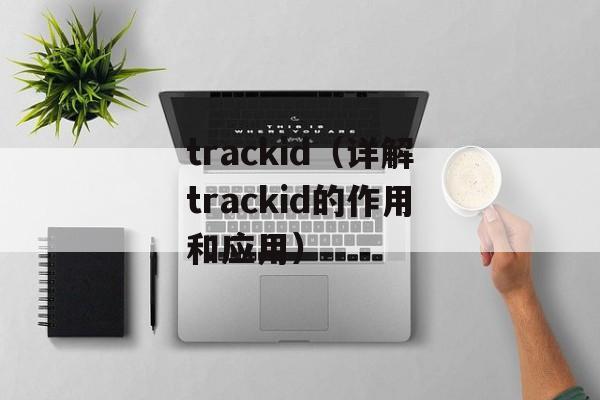 trackid（详解trackid的作用和应用）-第1张图片-