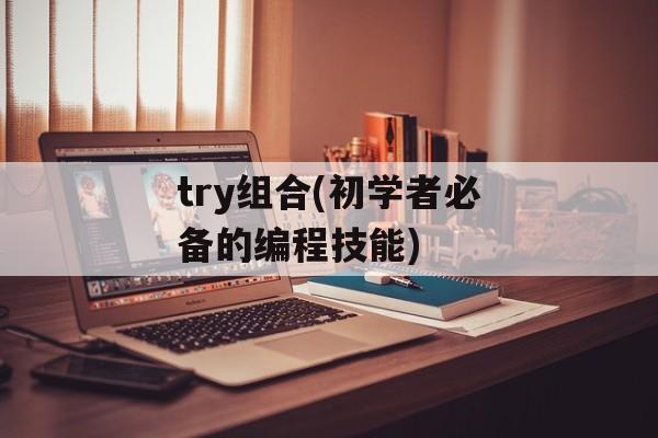 try组合(初学者必备的编程技能)-第1张图片-