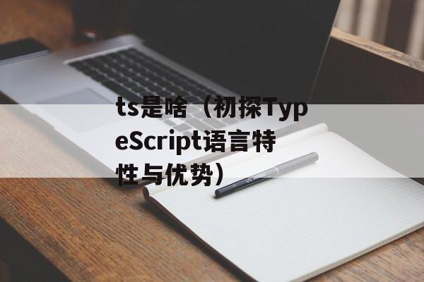 ts是啥（初探TypeScript语言特性与优势）-第1张图片-