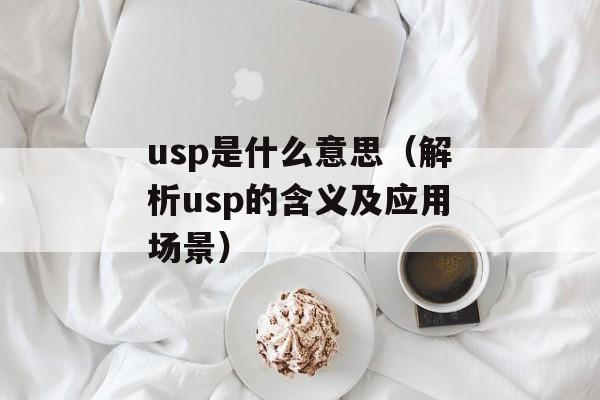 usp是什么意思（解析usp的含义及应用场景）-第1张图片-
