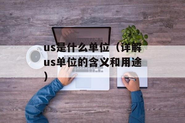 us是什么单位（详解us单位的含义和用途）-第1张图片-