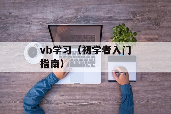vb学习（初学者入门指南）-第1张图片-