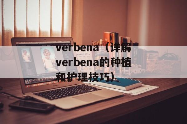 verbena（详解verbena的种植和护理技巧）-第1张图片-
