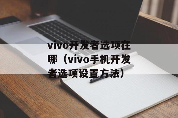 vivo开发者选项在哪（vivo手机开发者选项设置方法）-第1张图片-