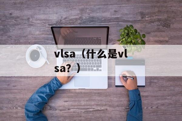 vlsa（什么是vlsa？）-第1张图片-