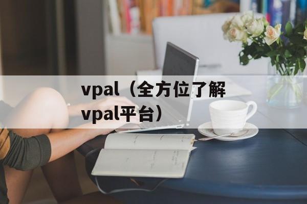 vpal（全方位了解vpal平台）-第1张图片-