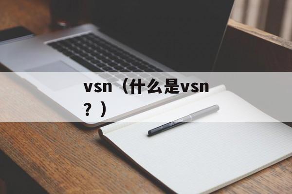 vsn（什么是vsn？）-第1张图片-