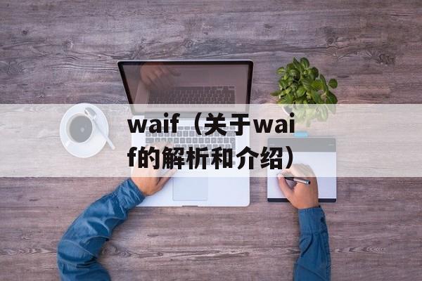 waif（关于waif的解析和介绍）-第1张图片-