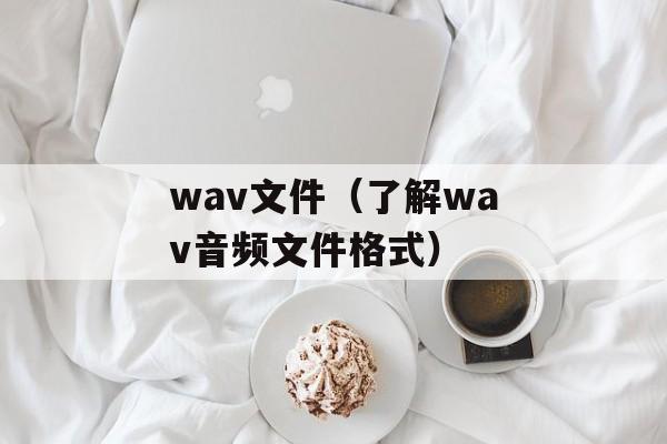 wav文件（了解wav音频文件格式）-第1张图片-