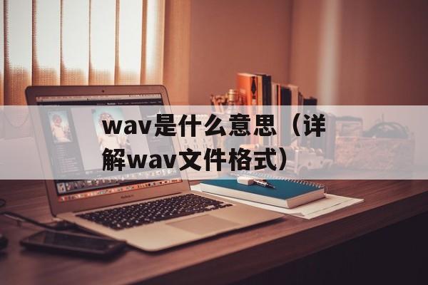 wav是什么意思（详解wav文件格式）-第1张图片-