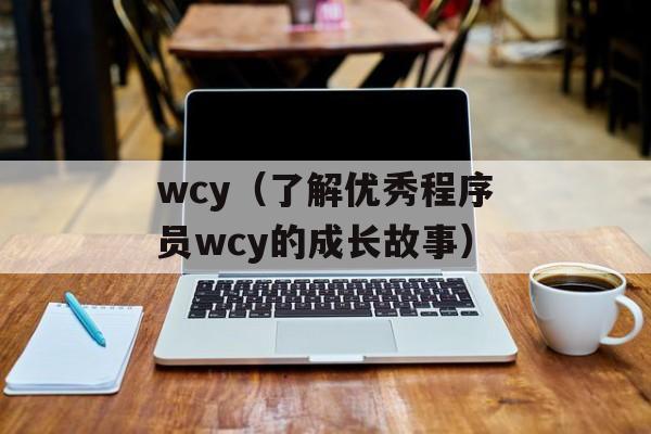 wcy（了解优秀程序员wcy的成长故事）-第1张图片-