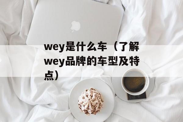 wey是什么车（了解wey品牌的车型及特点）-第1张图片-