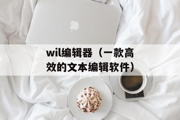 wil编辑器（一款高效的文本编辑软件）-第1张图片-