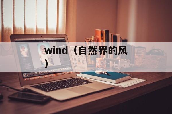 wind（自然界的风）-第1张图片-