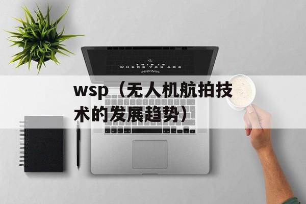 wsp（无人机航拍技术的发展趋势）-第1张图片-