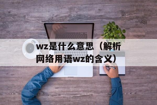 wz是什么意思（解析网络用语wz的含义）-第1张图片-