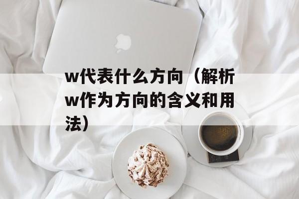 w代表什么方向（解析w作为方向的含义和用法）-第1张图片-