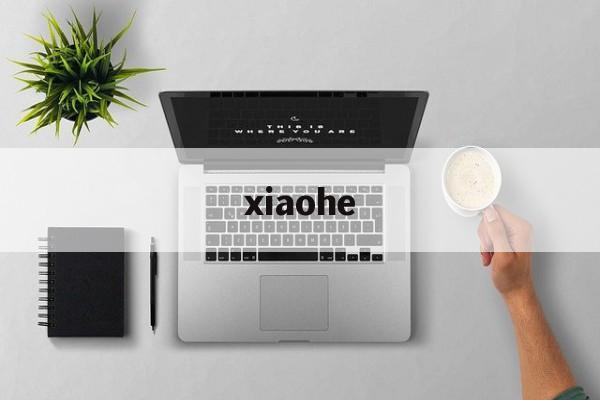 xiaohe-第1张图片-