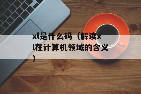 xl是什么码（解读xl在计算机领域的含义）-第1张图片-
