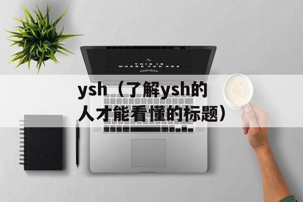 ysh（了解ysh的人才能看懂的标题）-第1张图片-