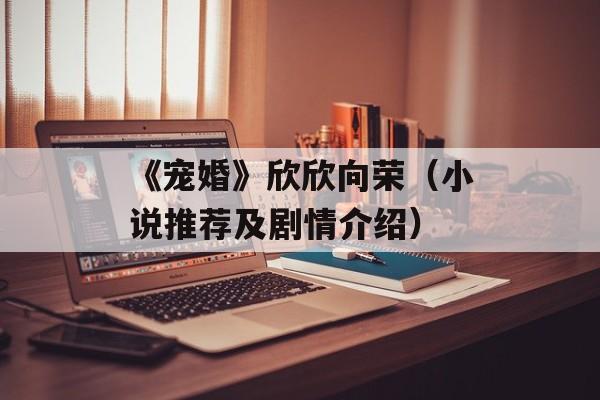 《宠婚》欣欣向荣（小说推荐及剧情介绍）-第1张图片-