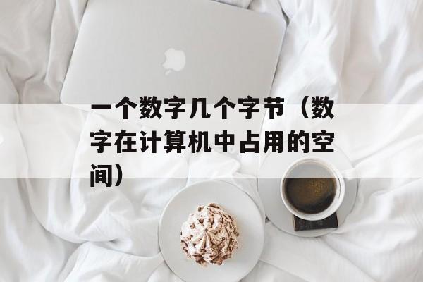 一个数字几个字节（数字在计算机中占用的空间）-第1张图片-