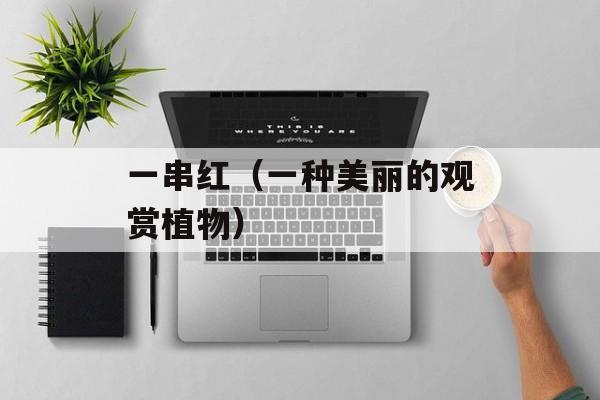 一串红（一种美丽的观赏植物）-第1张图片-