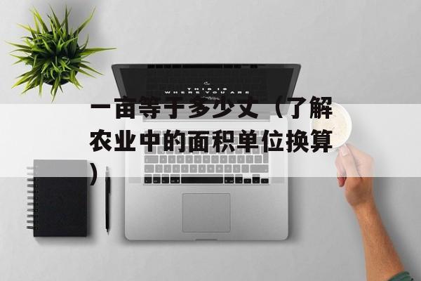 一亩等于多少丈（了解农业中的面积单位换算）-第1张图片-